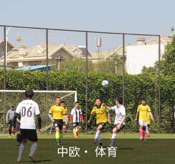 了解中欧· 体育